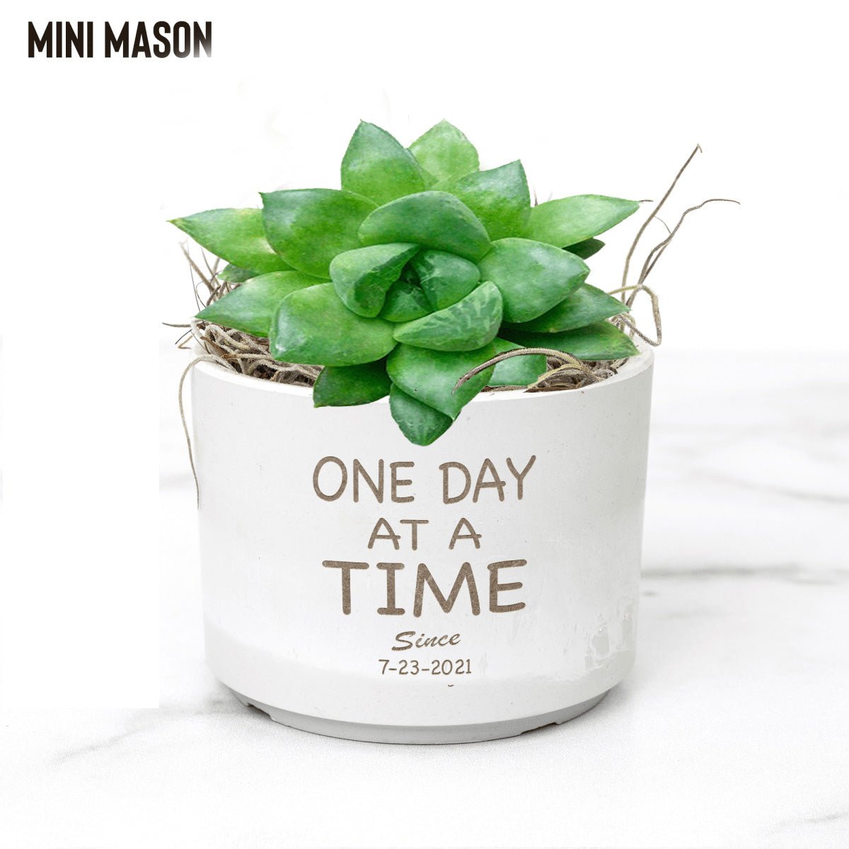 One Day At A Time Sober Pot with Live Plant W/Sober Date