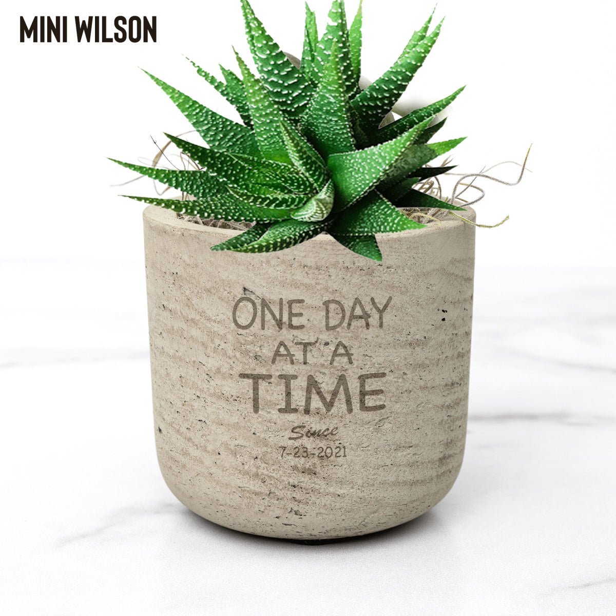 One Day At A Time Sober Pot with Live Plant W/Sober Date