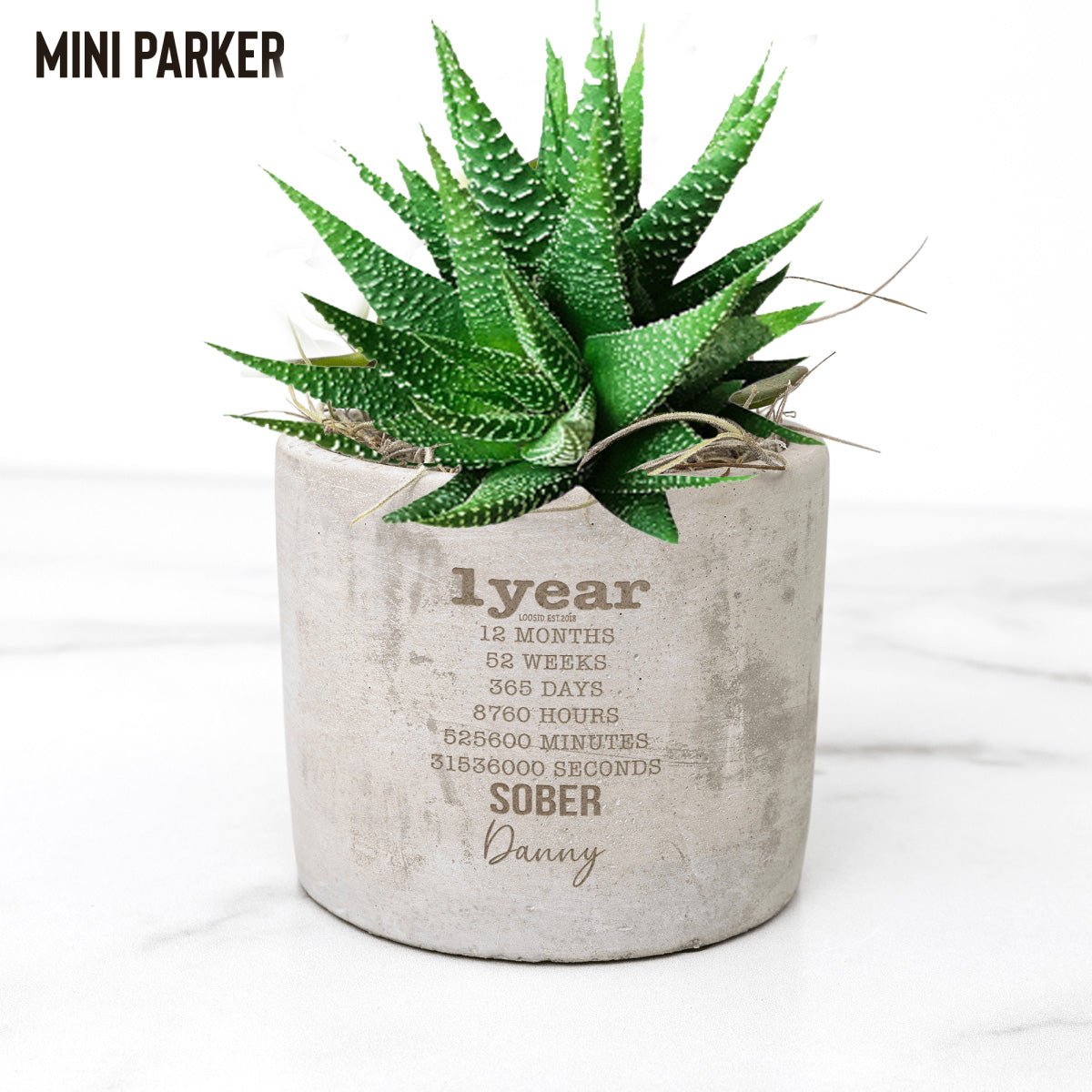 Years Sober Pot and Live Plant w/Sober Date