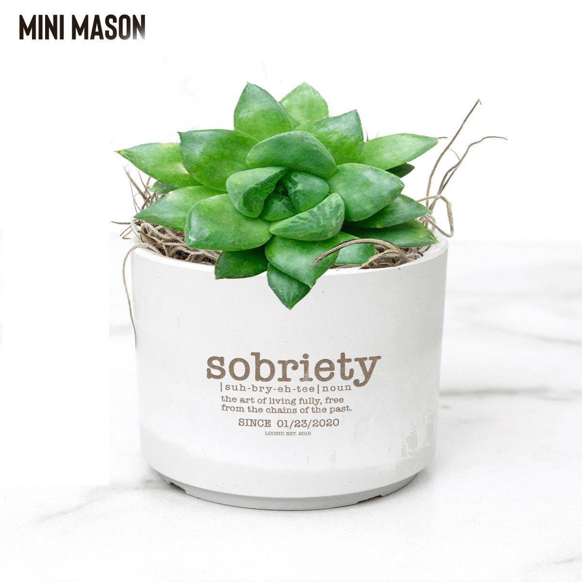Sobriety Pot and Live Plant w/Sober Date