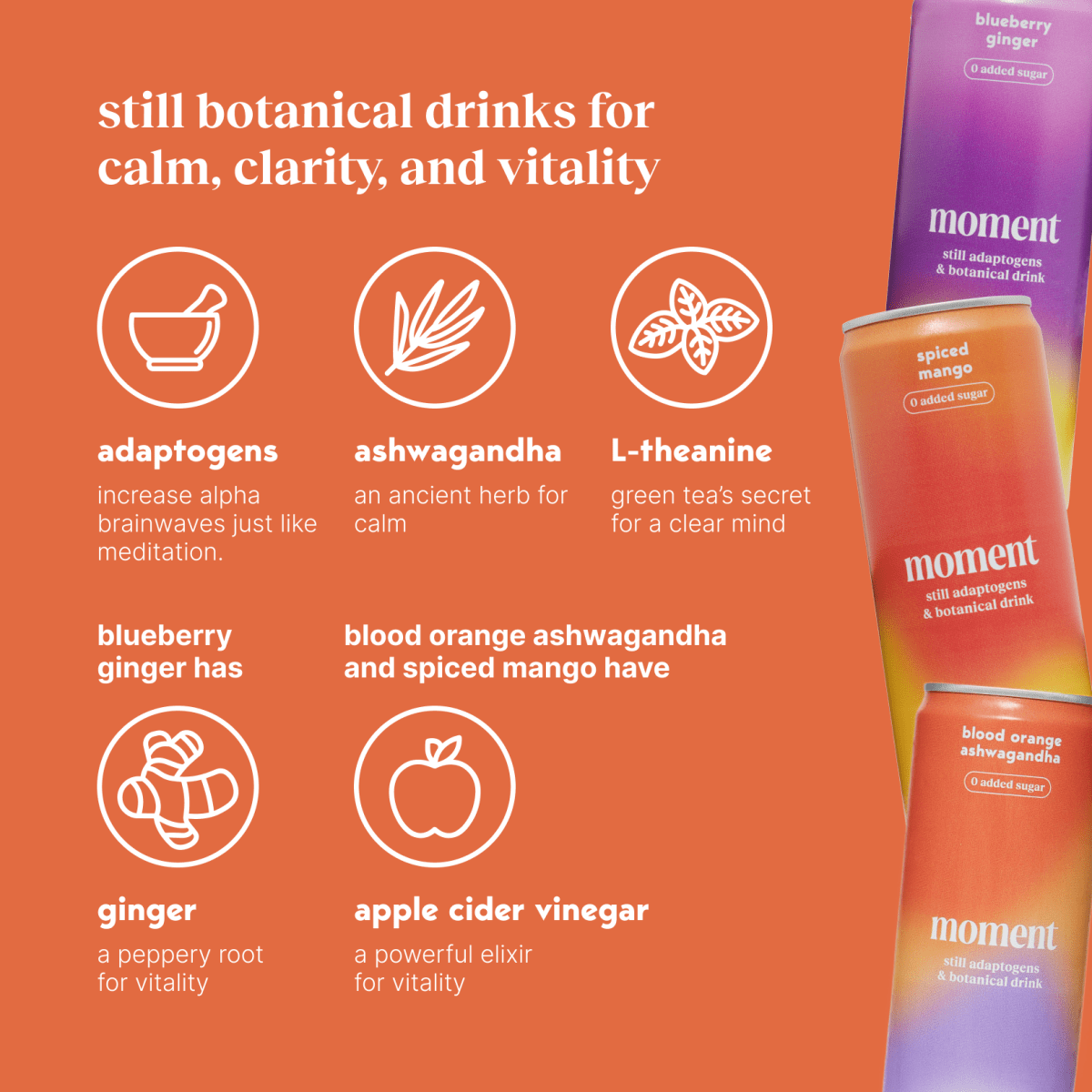 bestsellers (botanical tea | 12 pack)