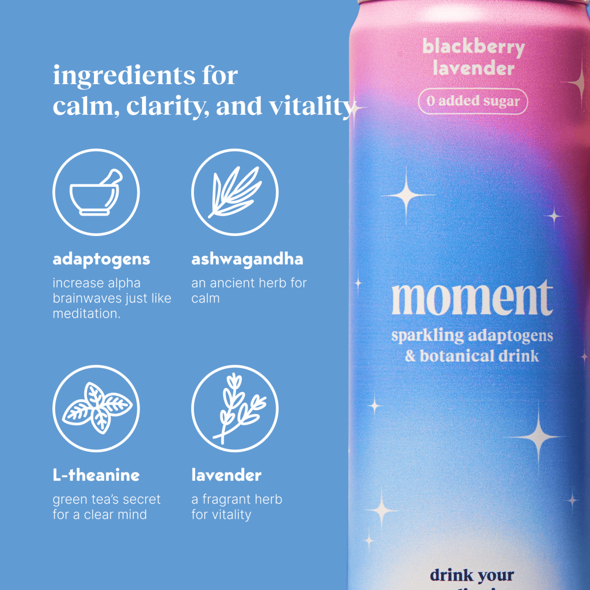 blackberry lavender (botanical soda | 12 pack)