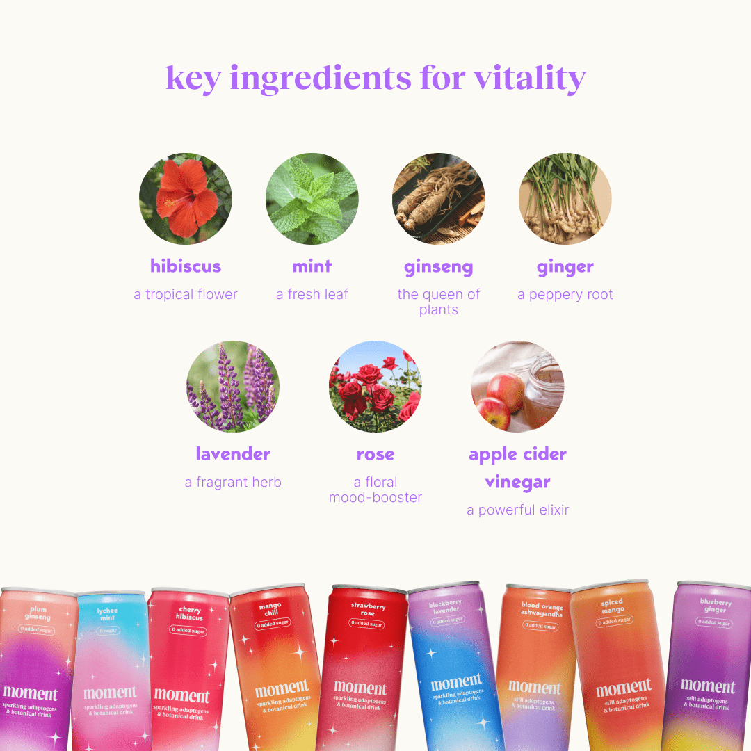 bestsellers (sparkling & still mocktail | 24 pack)