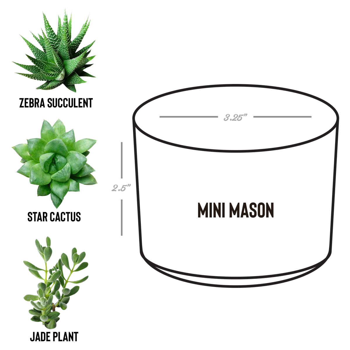 Sober_D_Mason_Spec_Mockup.png_15527820