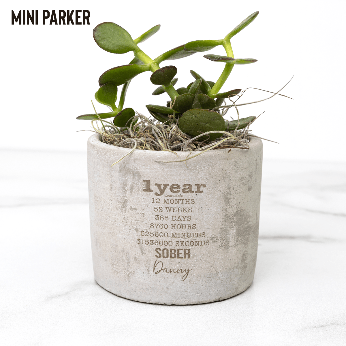 Sober_D_Parker_Mockup_Mockup.png_15527821
