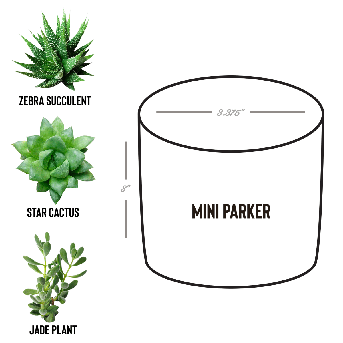 Sober_D_Parker_Spec_Mockup.png_15527822