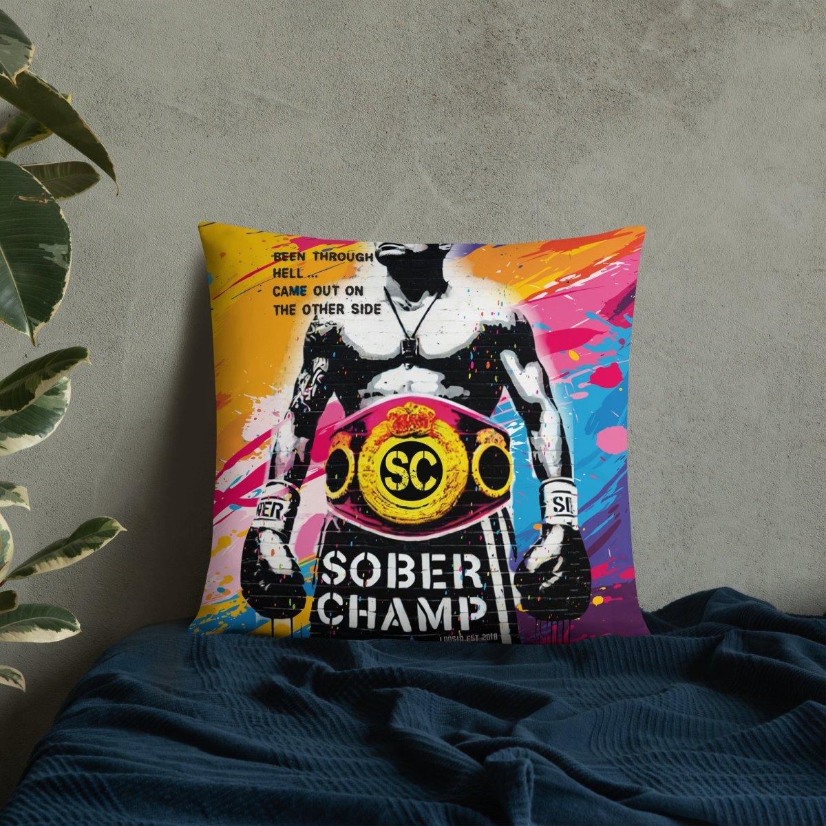 modern sober pillow home decor