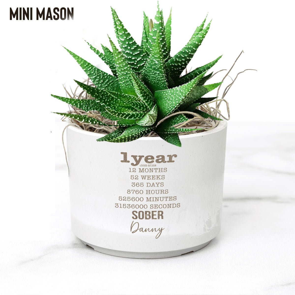 Years Sober Pot and Live Plant w/Sober Date