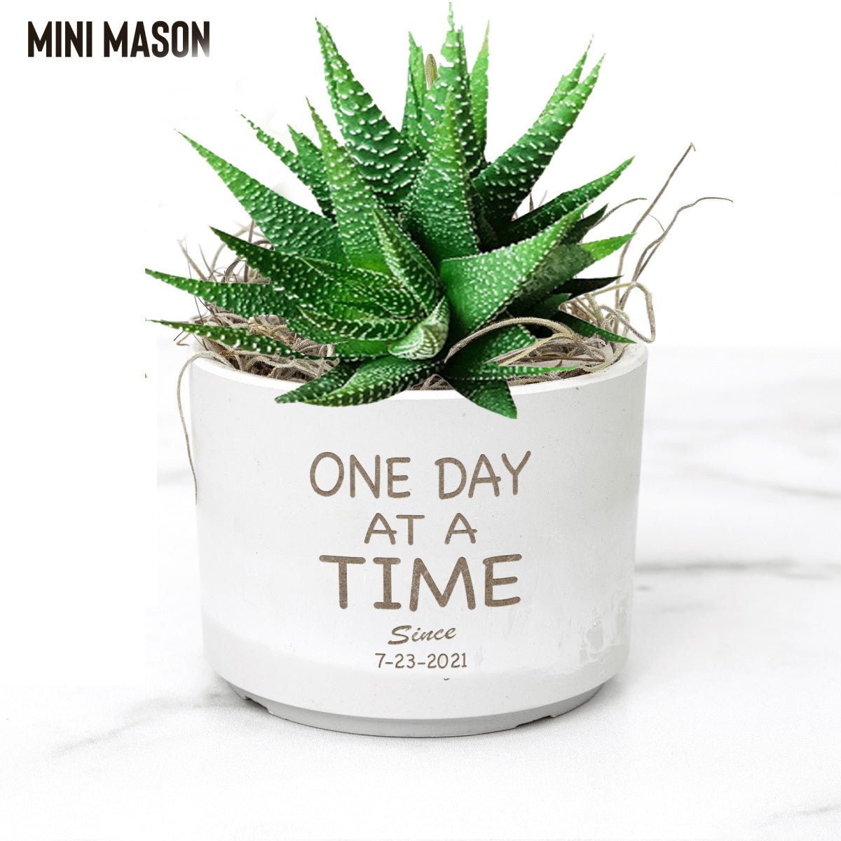 One Day At A Time Sober Pot with Live Plant W/Sober Date