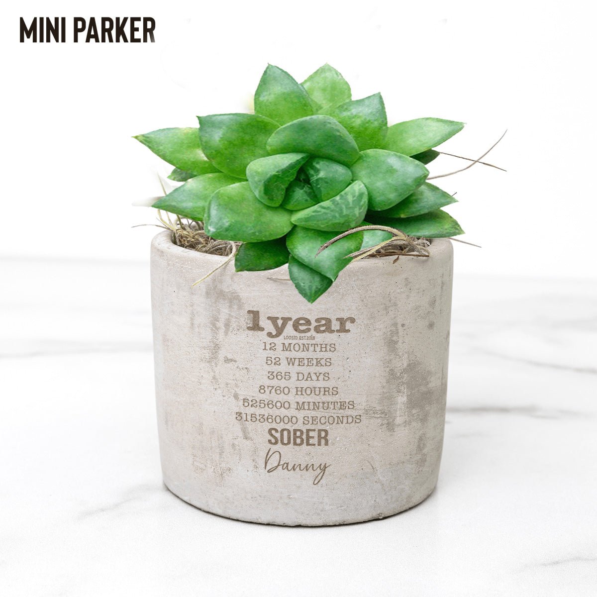 Years Sober Pot and Live Plant w/Sober Date