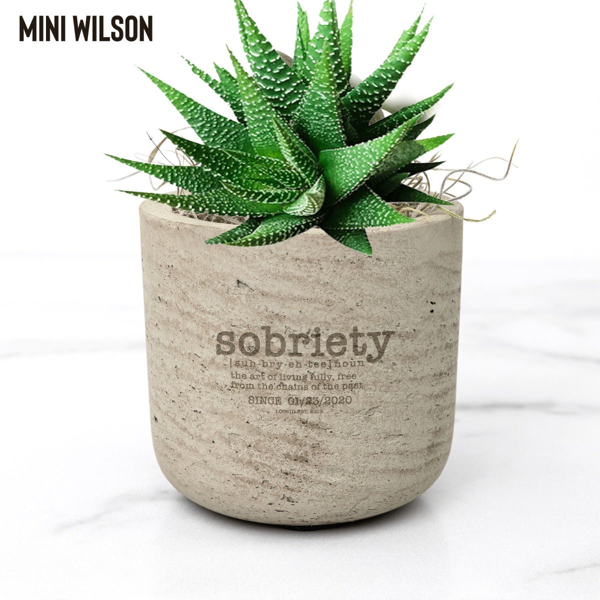 Sobriety Pot and Live Plant w/Sober Date