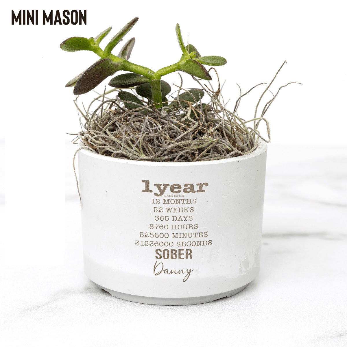 Years Sober Pot and Live Plant w/Sober Date