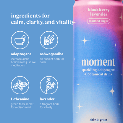 blackberry lavender (botanical soda | 12 pack)