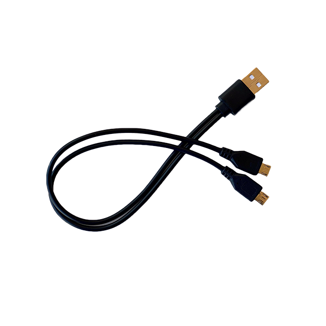 Dual-pronged Charging Cable