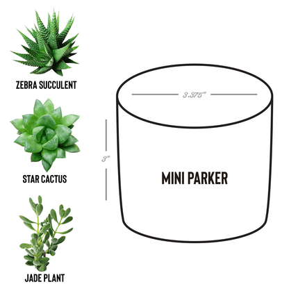 Sober_Date_Parker_Spec_Mockup.png_15527816