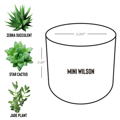 Sober_Date_Wilson_Spec_Mockup.png_15527818