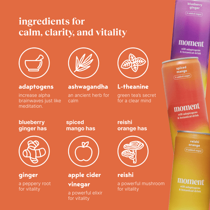 bestsellers (botanical tea | 24 pack)