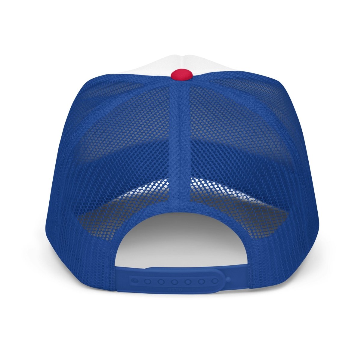 We Do Recover Sober Hat back view (view 7)