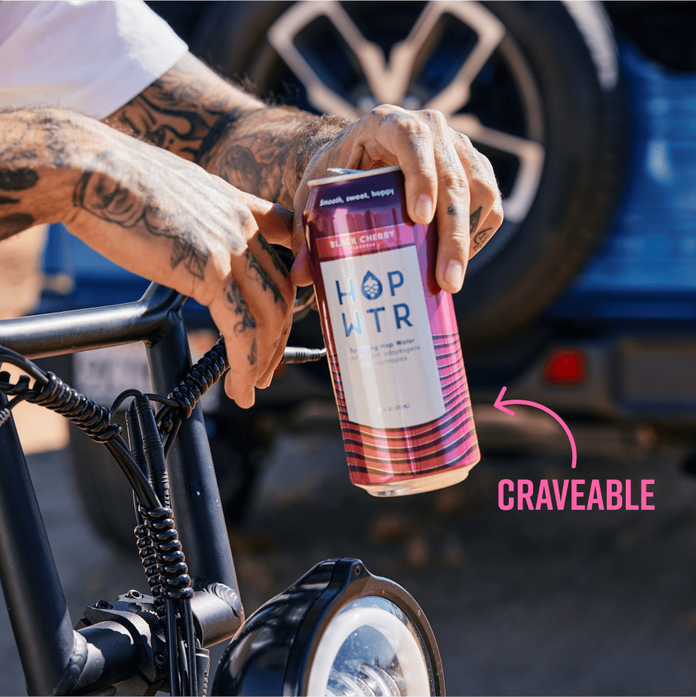 Black Cherry | 16oz Tall Boys