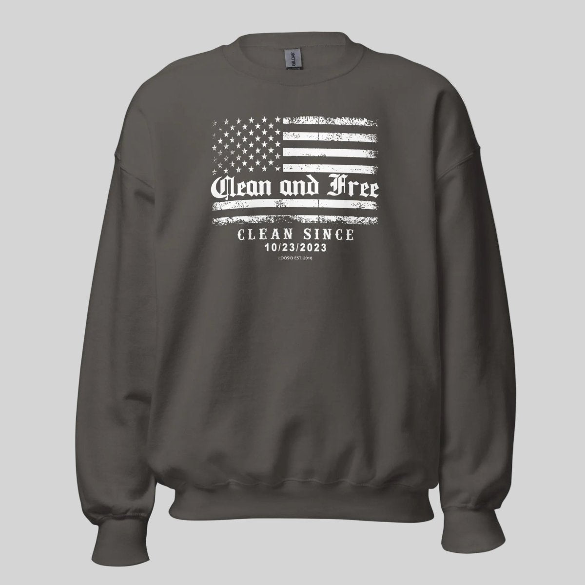 Charcoal gray Clean and Free sober apparel sweatshirt, front view on model